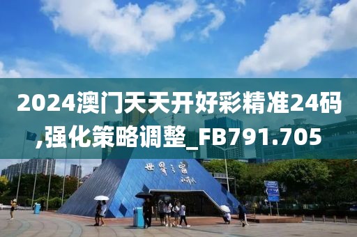 2024澳门天天开好彩精准24码,强化策略调整_FB791.705