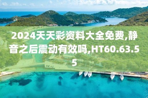 2024天天彩资料大全免费,静音之后震动有效吗,HT60.63.55