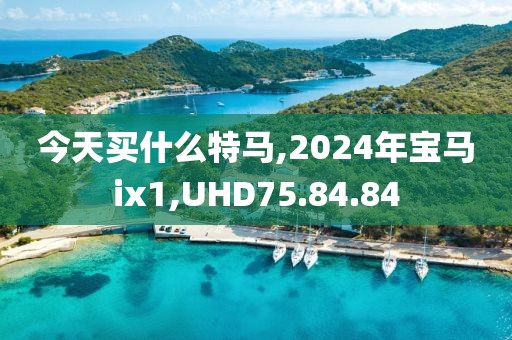 今天买什么特马,2024年宝马ix1,UHD75.84.84