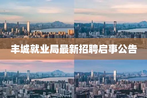 丰城就业局最新招聘启事公告