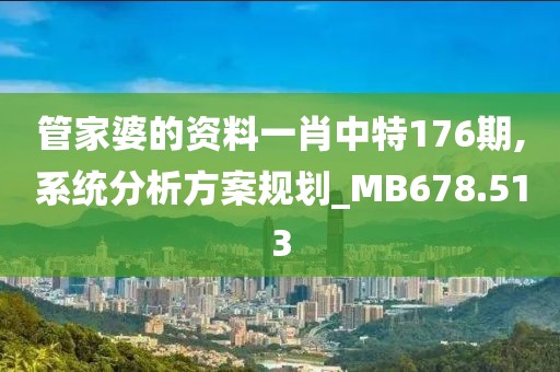 管家婆的资料一肖中特176期,系统分析方案规划_MB678.513