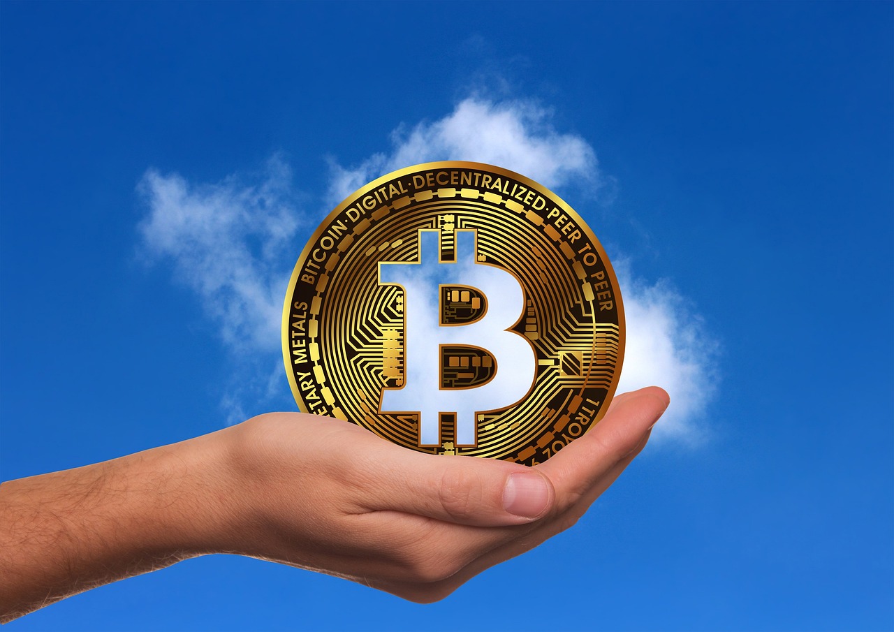 青州白菜价格最新行情分析与趋势预测
