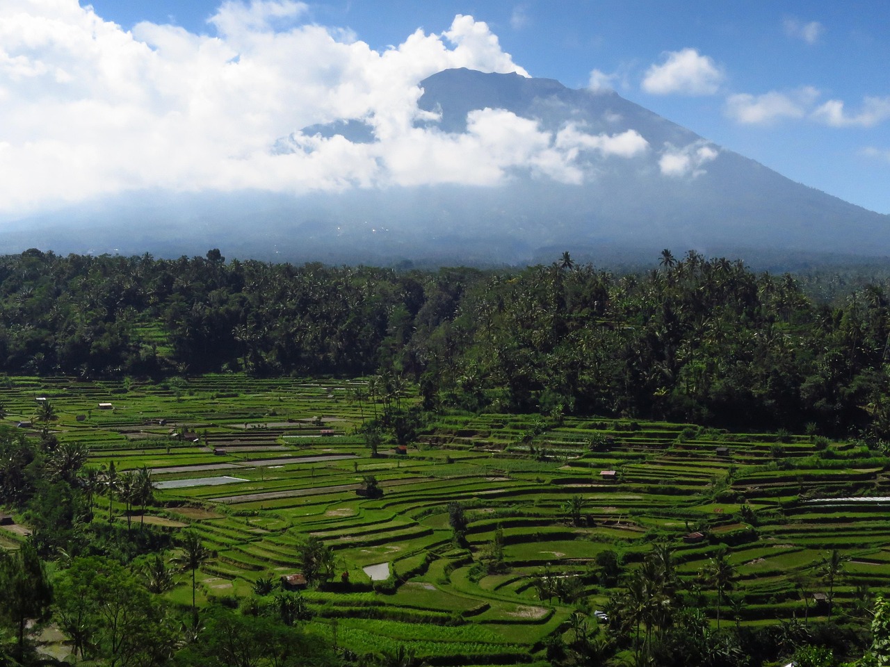 巴厘岛火山最新动态，影响及应对策略