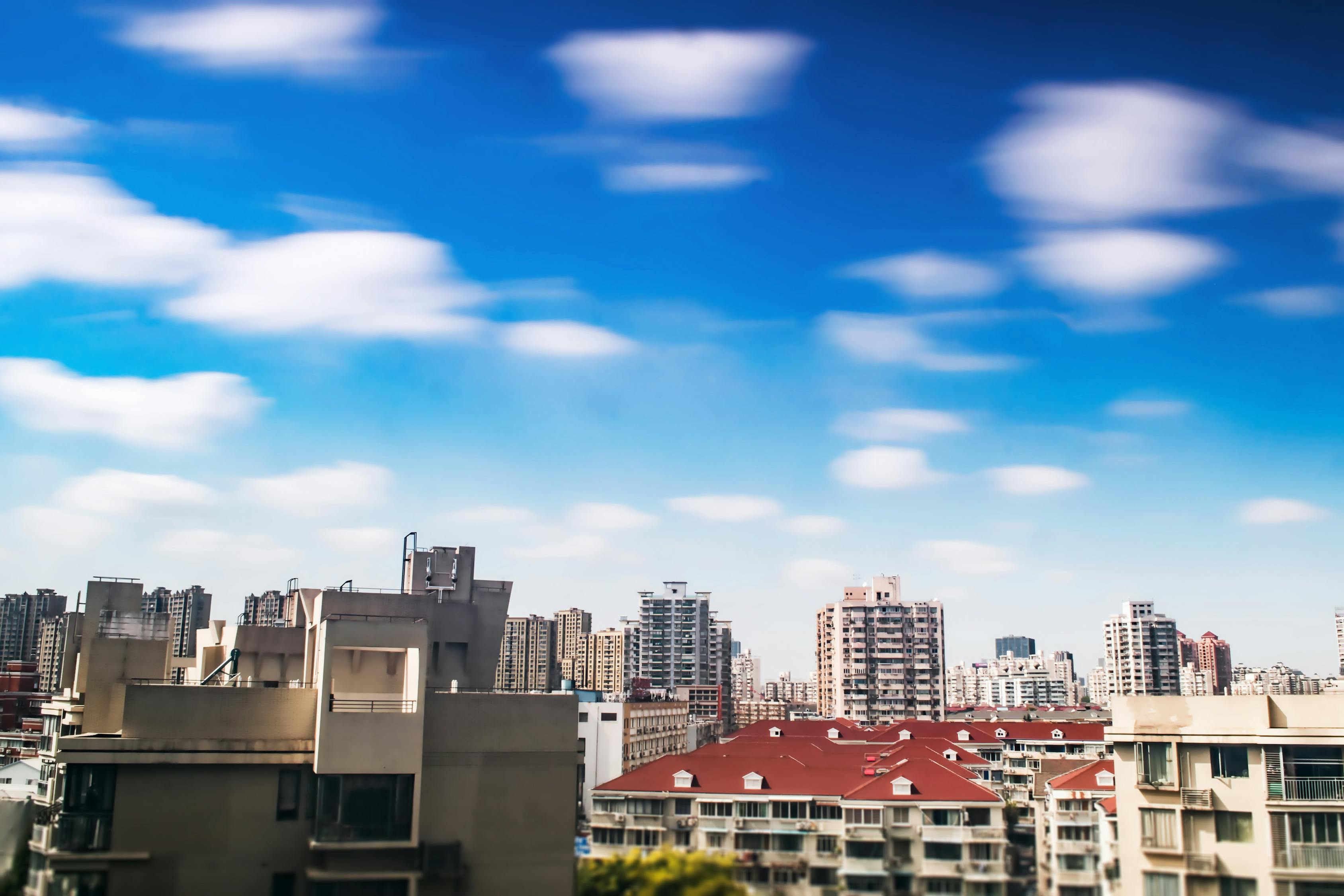 涡阳新闻焦点，张氏家族的崛起及其社会影响最新消息