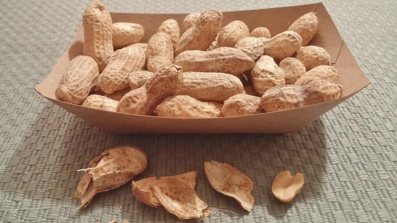 杞县花生米价格最新行情及分析简报