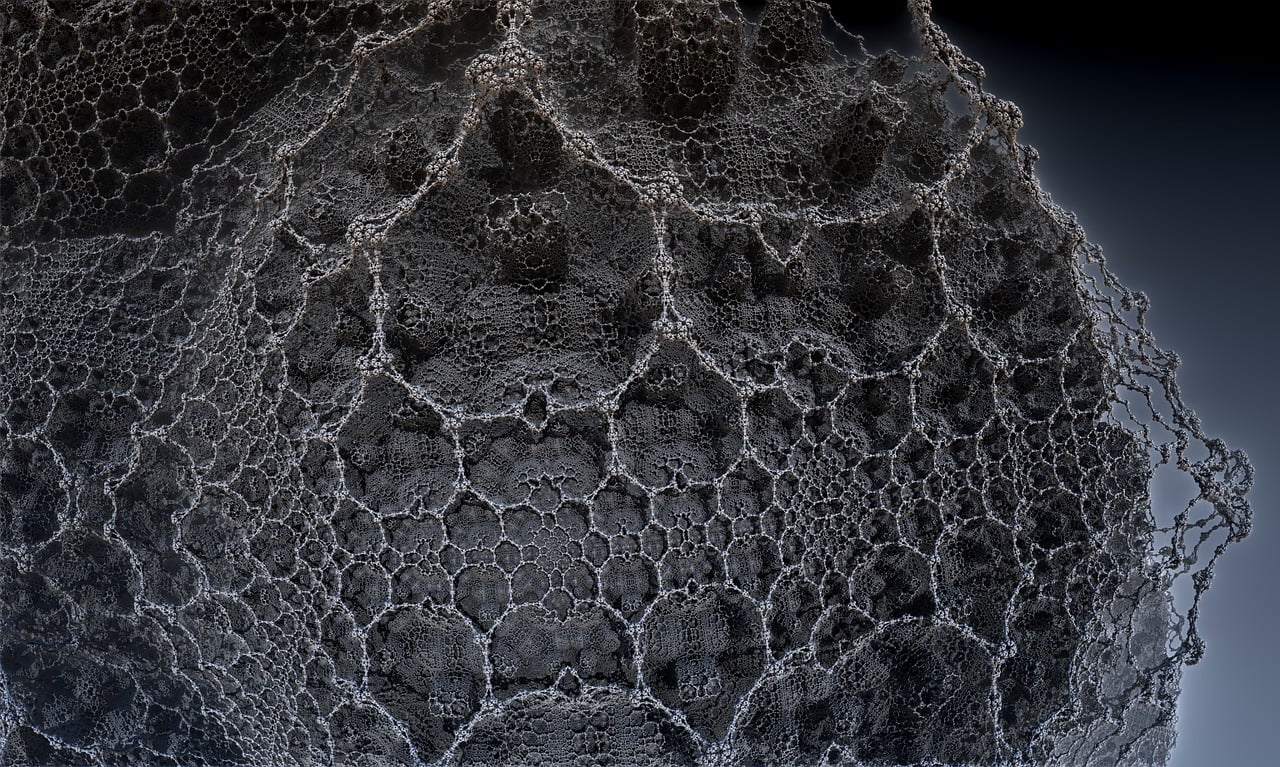 清远何炳华最新动态，传奇人物的崭新篇章