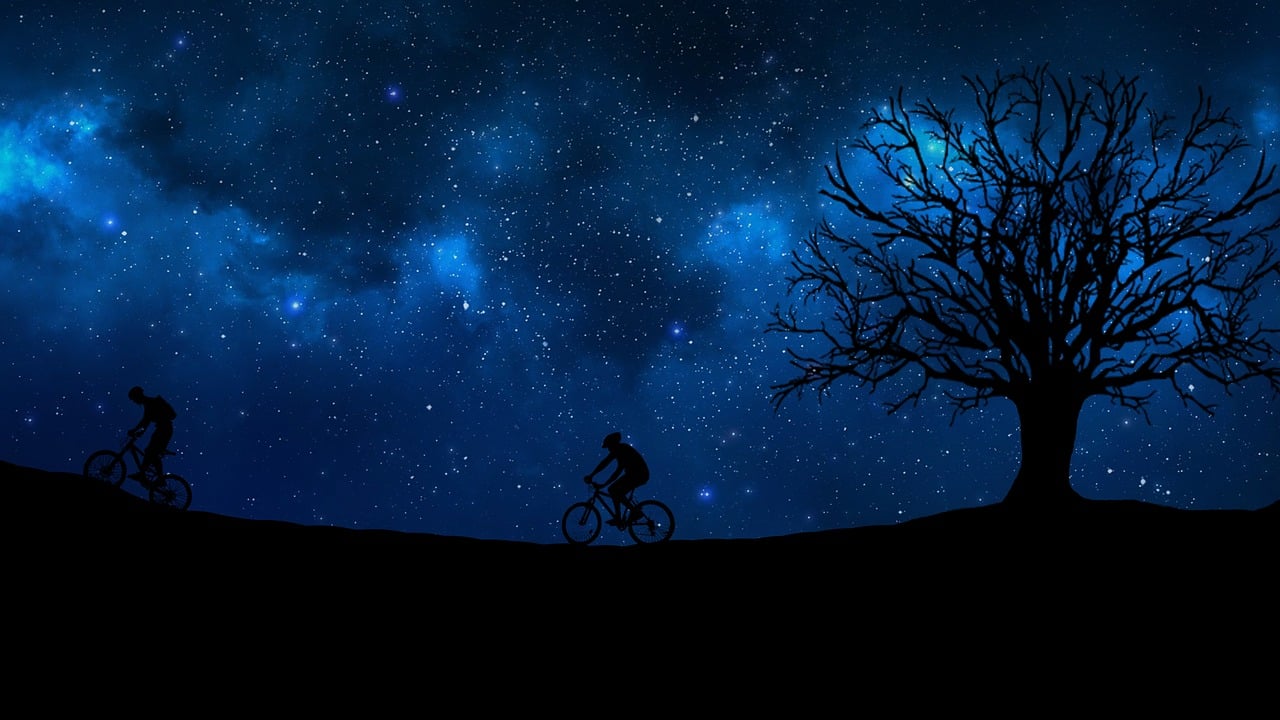 明日之子最新一期嘉宾星光闪耀，音乐无界之夜