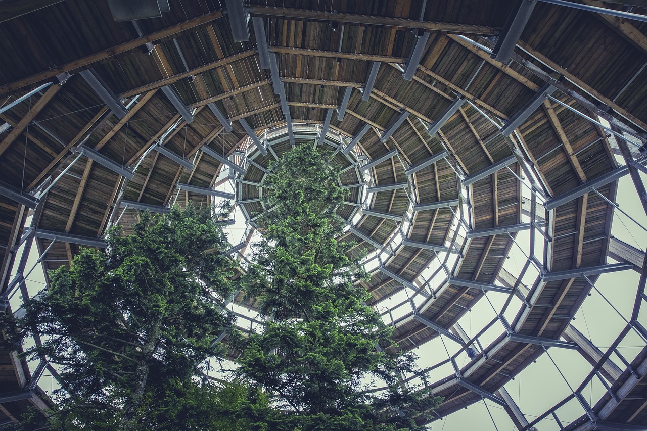 南阳恒大帝景最新消息深度解析与概述