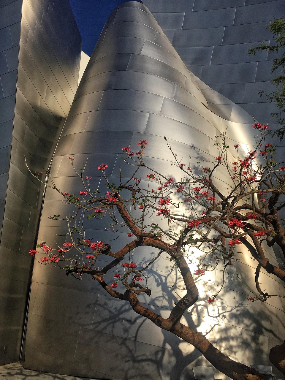社旗潘河规划最新动态，重塑城市生态，绘就未来发展蓝图