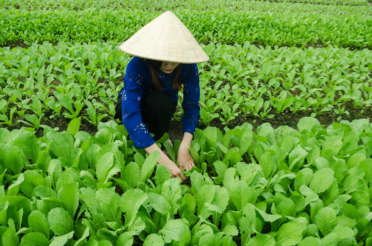 张家口前进海纳都最新发展动态概览