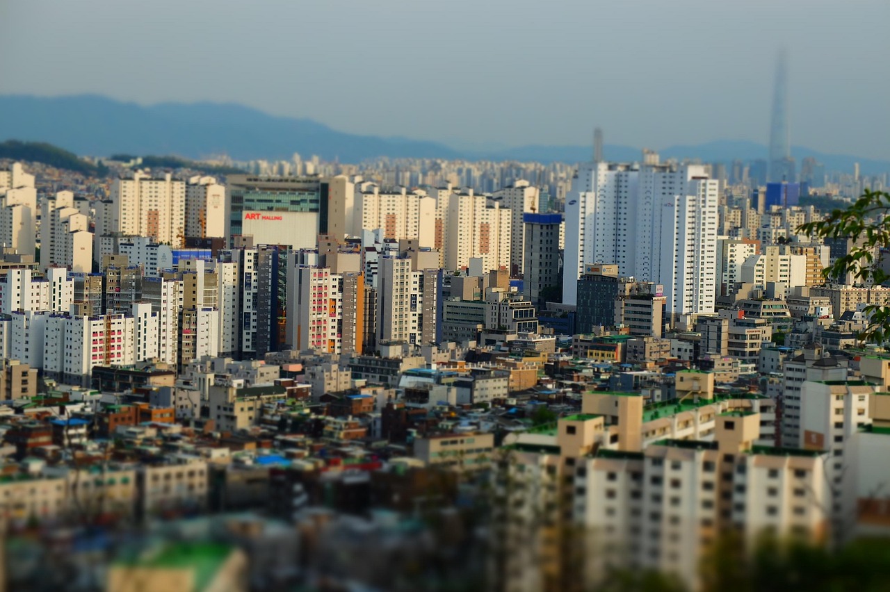塘城丽景最新房价动态，走势、分析与预测
